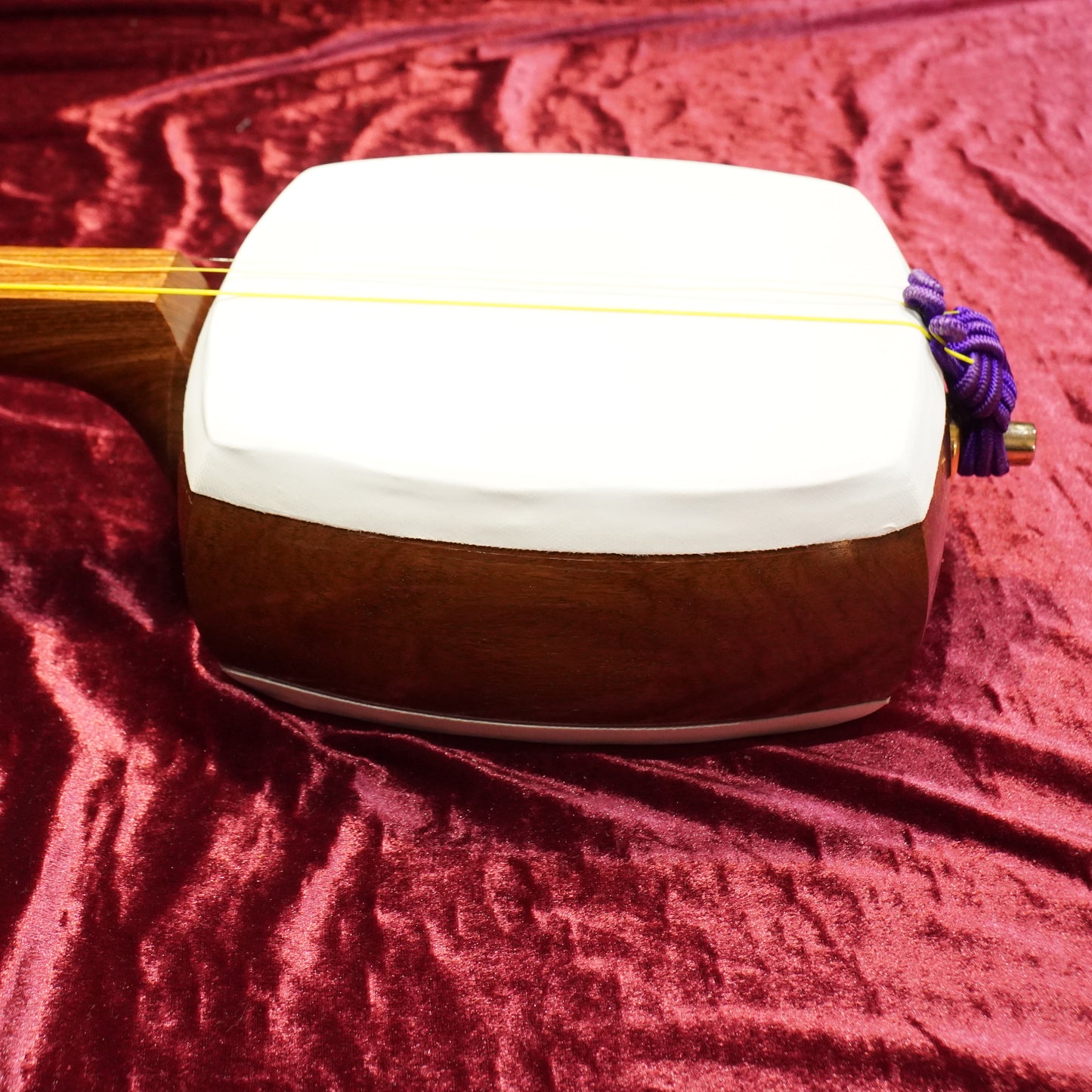 10.Premium Pre-Owned Karin Shamisen
