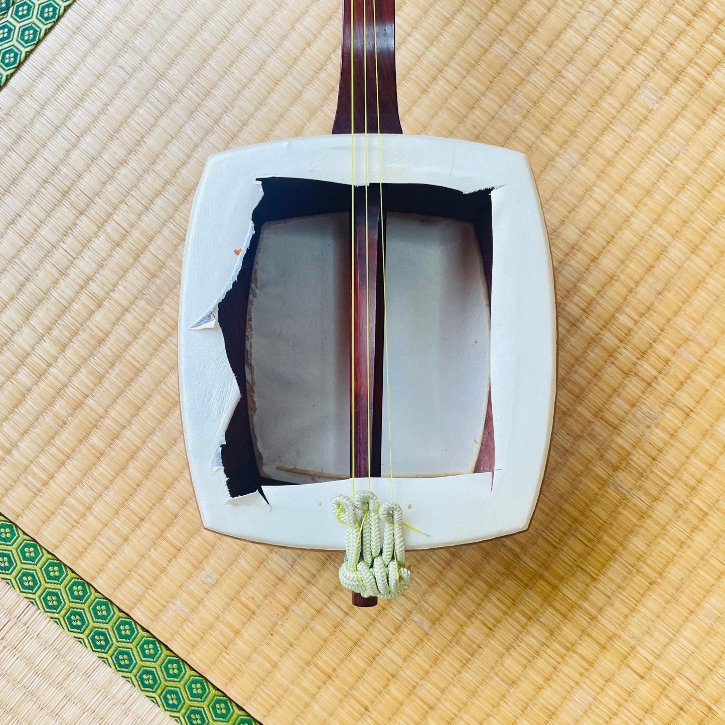 １Karin shamisen @F