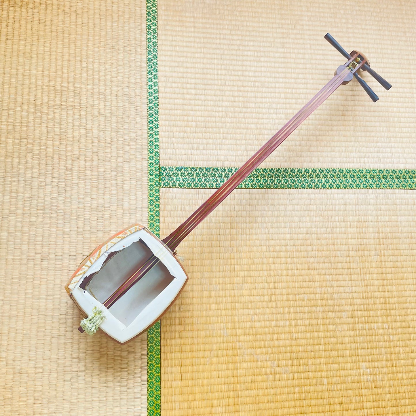 １Karin shamisen @F
